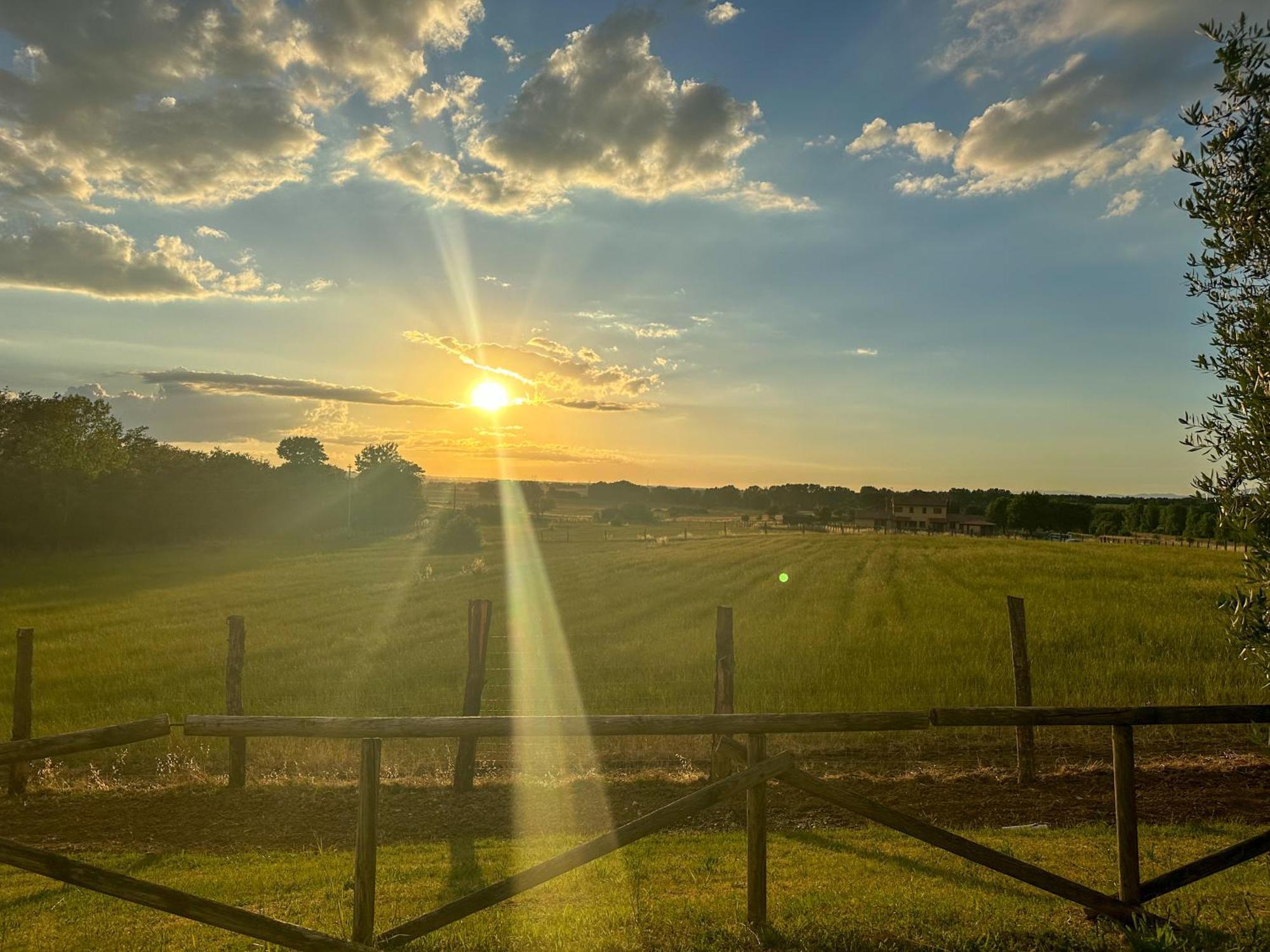 Terra Dei Bisonti Farm stay